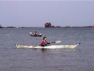 ���˂�����P